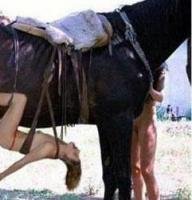 Любитель животных скончался после секса с конем